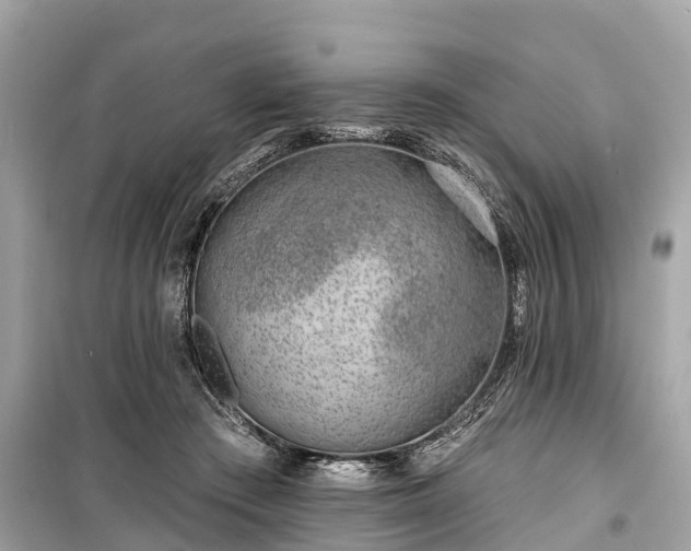 X0000099440409200805161138