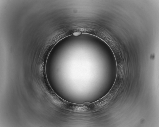 X0000099440410200805161138