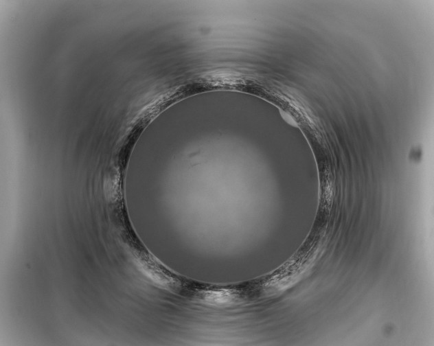 X0000099440411200805161138