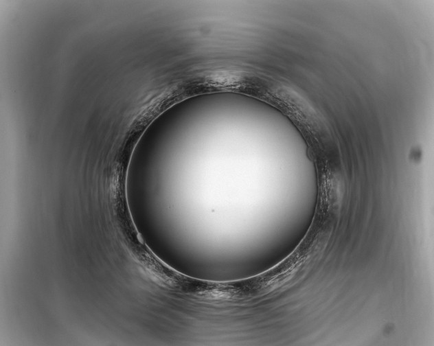 X0000099440412200805161138