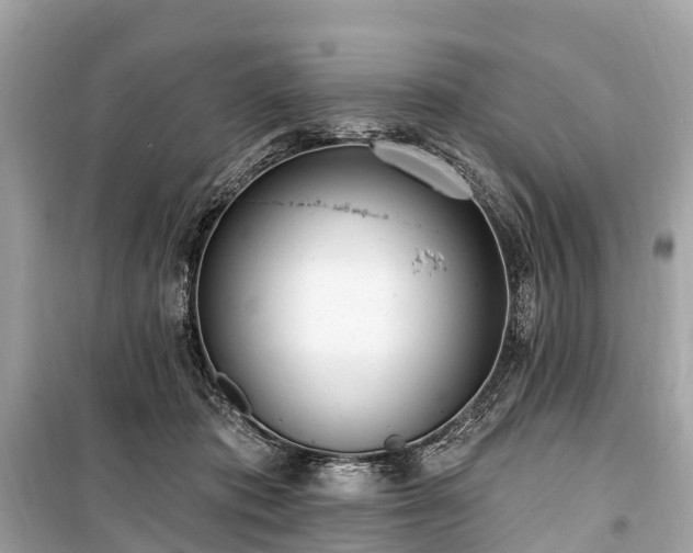 X0000099440413200805161138