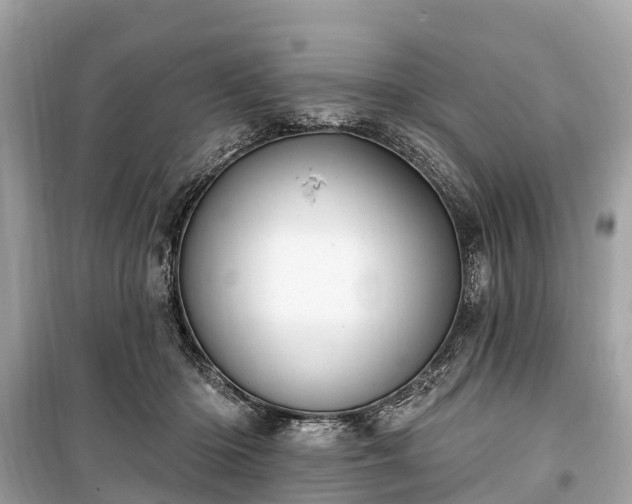 X0000099440414200805161138