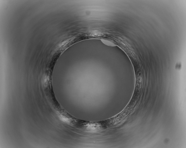 X0000099440415200805161138