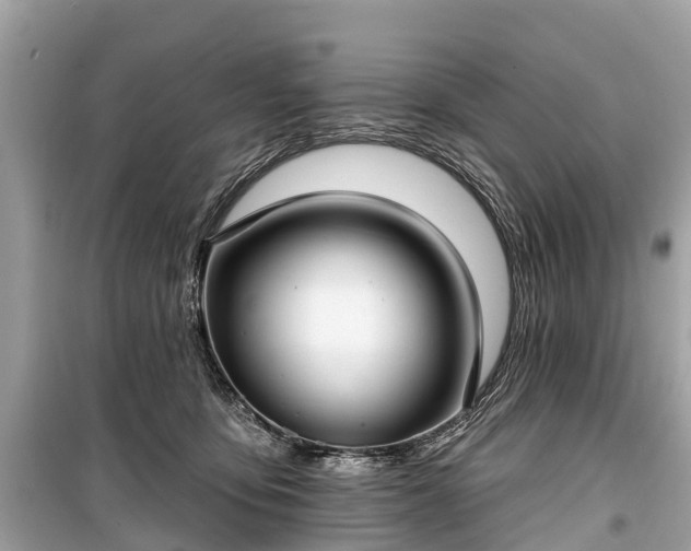 X0000099440419200805161138