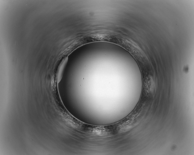 X0000099440420200805161138