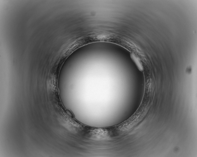 X0000099440421200805161138