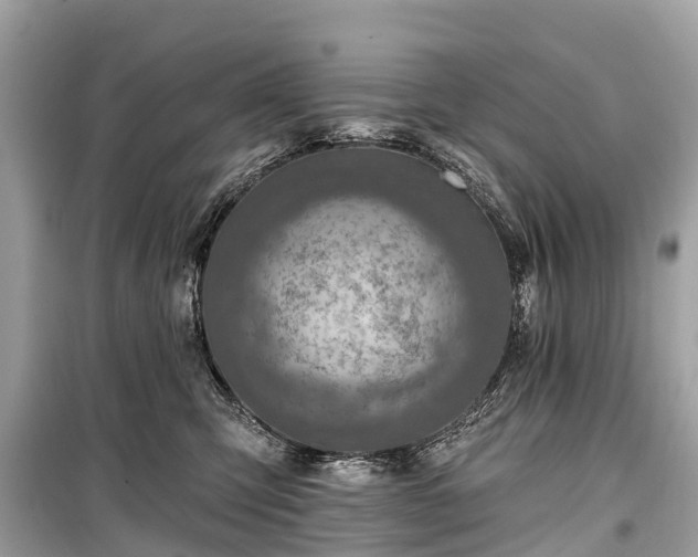 X0000099440423200805161138