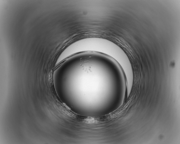 X0000099440425200805161138