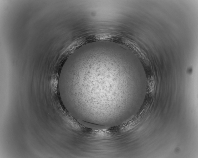 X0000099440427200805161138
