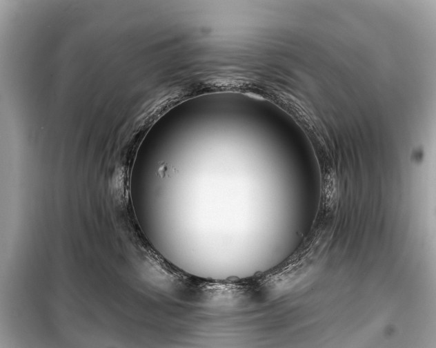 X0000099440428200805161138