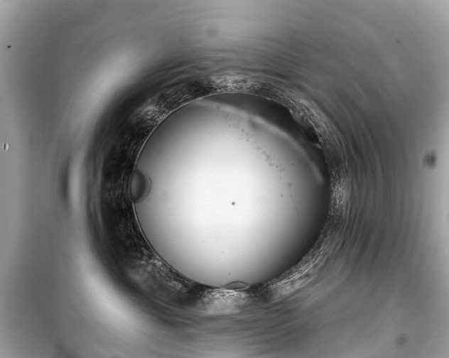 X0000099440429200805161138