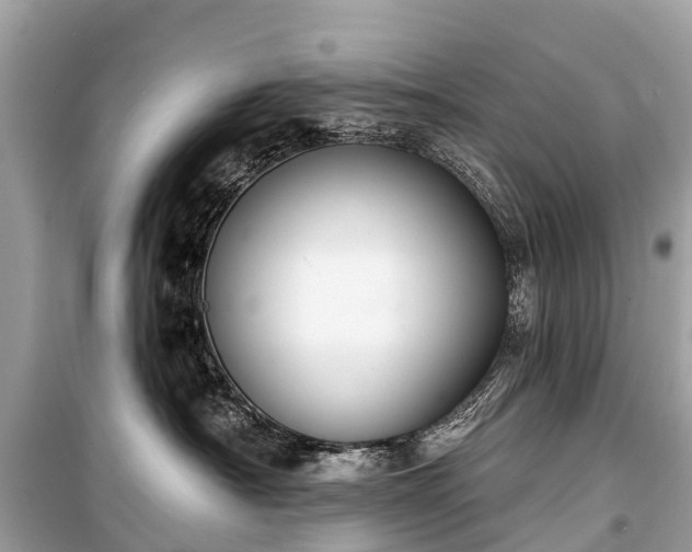X0000099440430200805161138