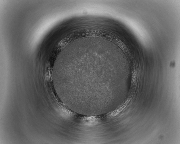 X0000099440431200805161138