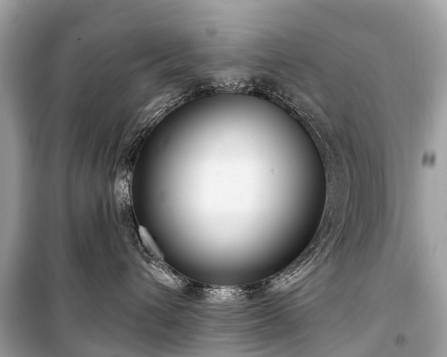 X0000099440432200805161138