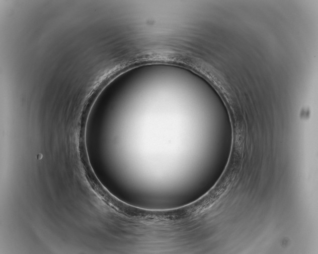X0000099440434200805161137