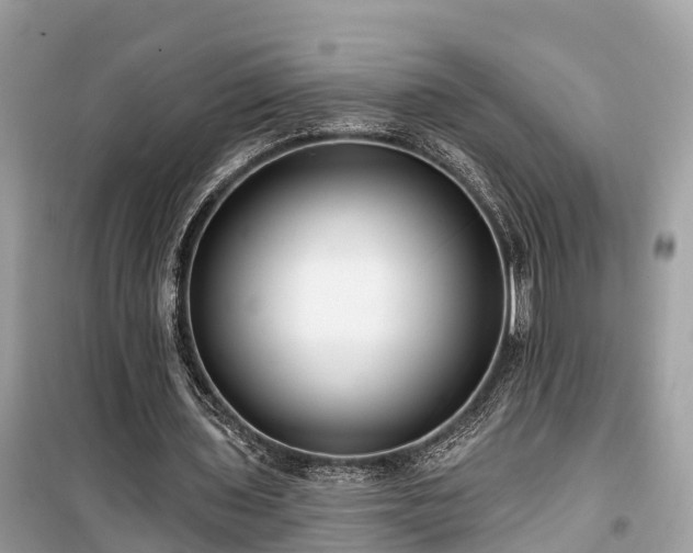 X0000099440435200805161137