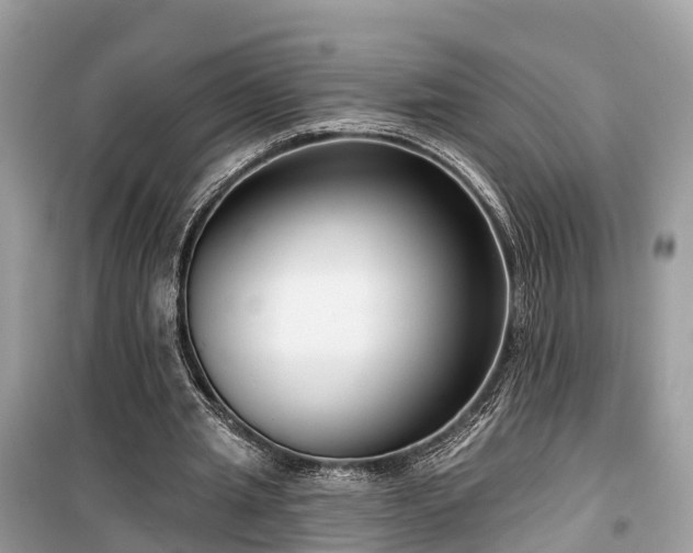 X0000099440437200805161137