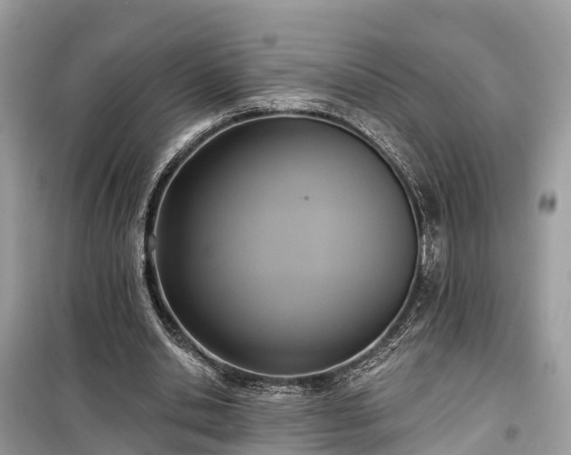 X0000099440438200805161137