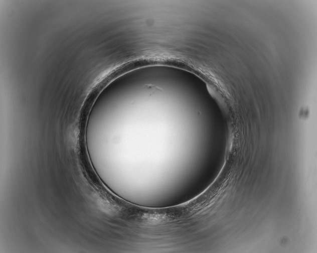 X0000099440440200805161137