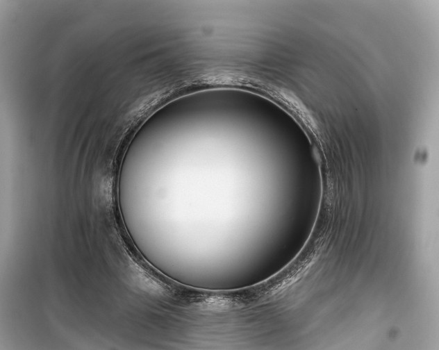 X0000099440441200805161137