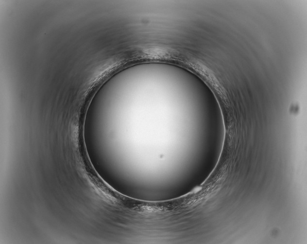 X0000099440442200805161137