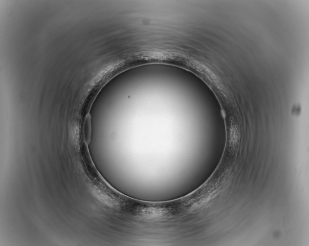 X0000099440444200805161137