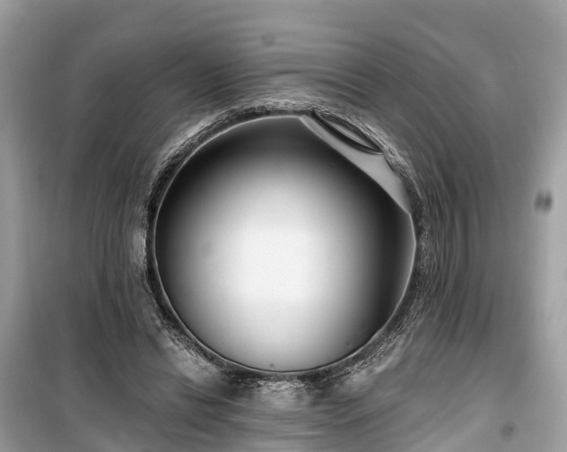 X0000099440446200805161137