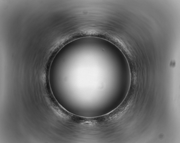 X0000099440447200805161137