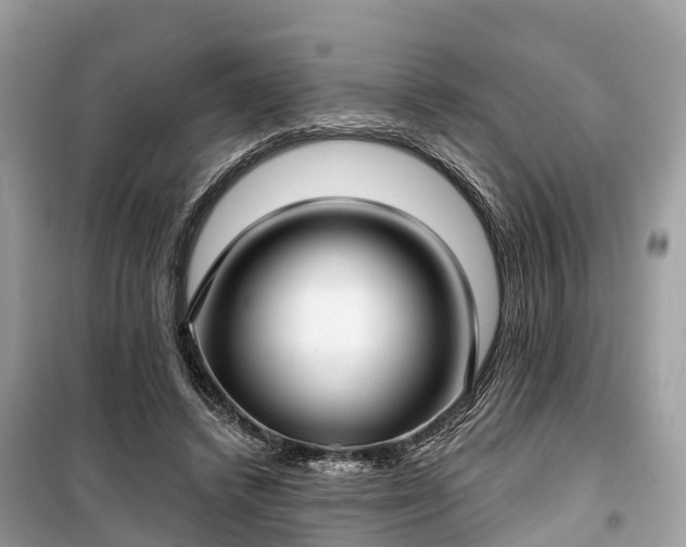 X0000099440448200805161137