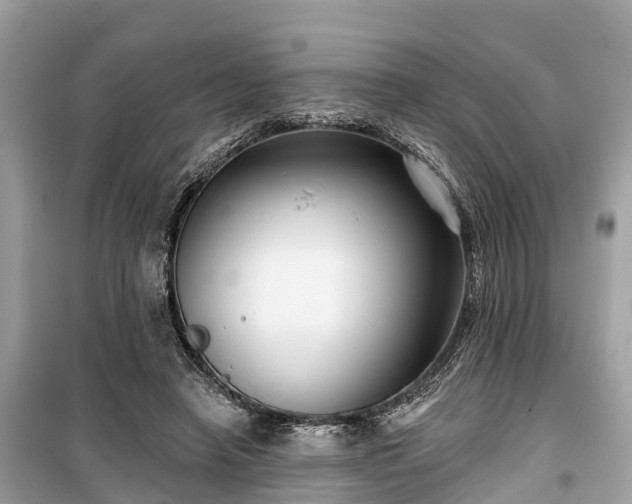 X0000099440450200805161137