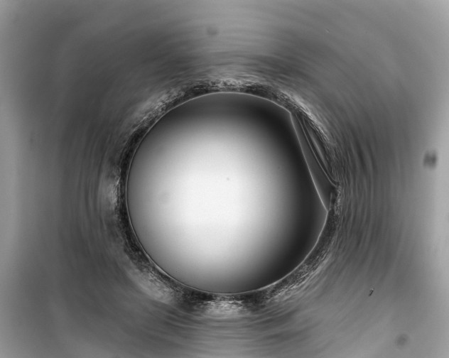 X0000099440451200805161137