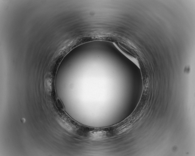 X0000099440452200805161137