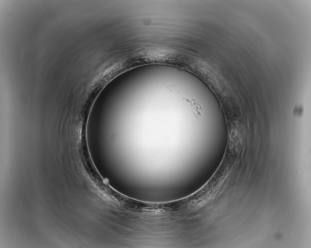 X0000099440454200805161137