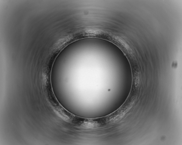 X0000099440455200805161137