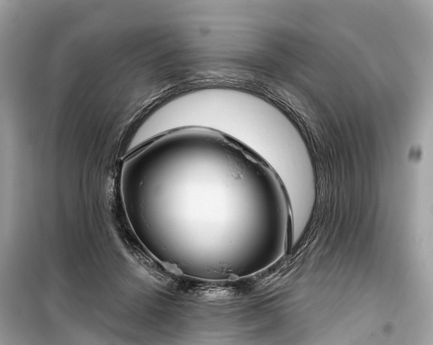 X0000099440456200805161137