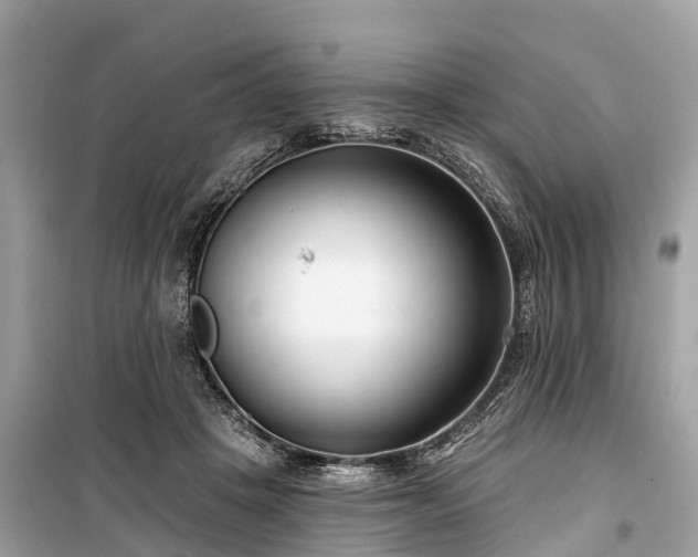 X0000099440457200805161137