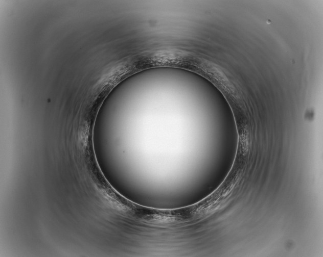 X0000099440458200805161137
