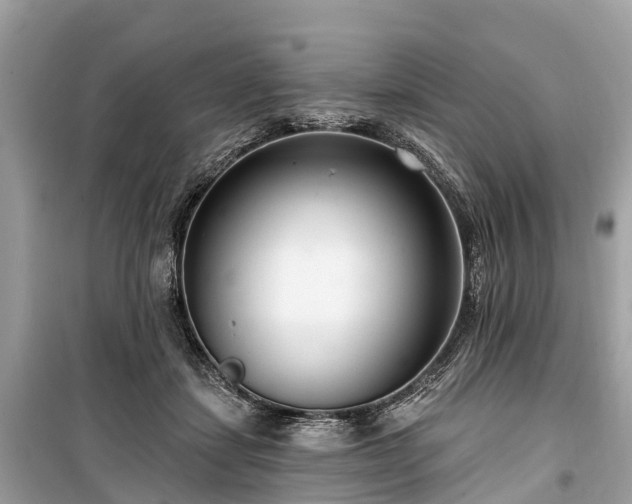 X0000099440459200805161137