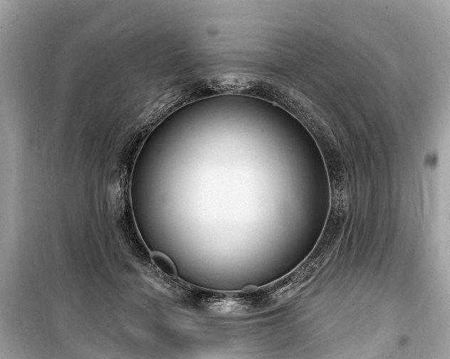 X0000099440460200805161137
