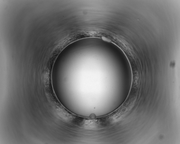 X0000099440461200805161137