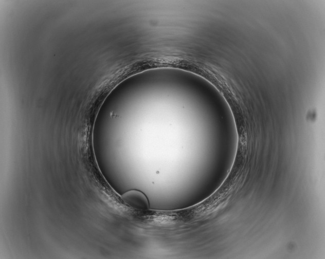 X0000099440462200805161138