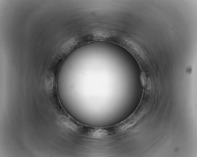 X0000099440463200805161138