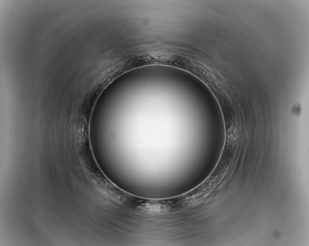X0000099440464200805161138