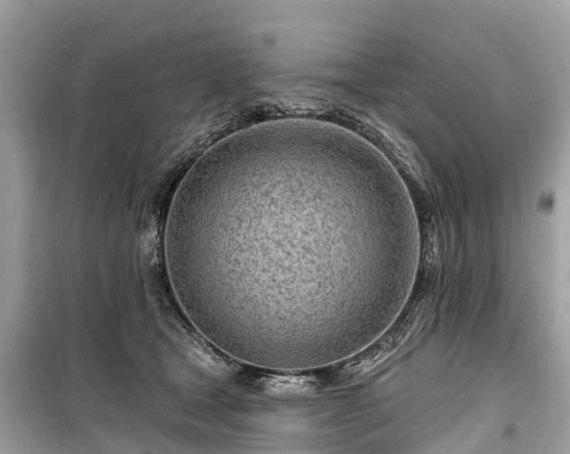 X0000099440465200805161138