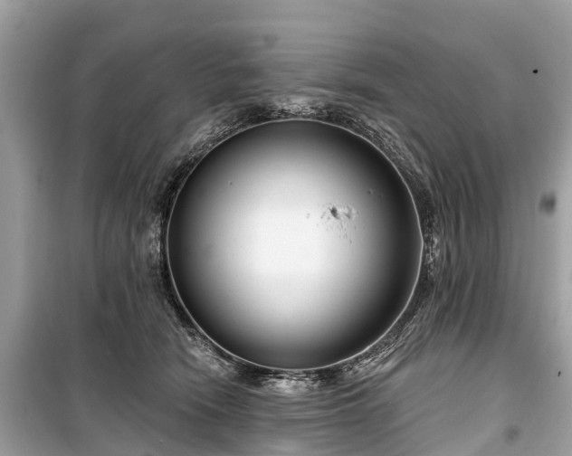 X0000099440466200805161138