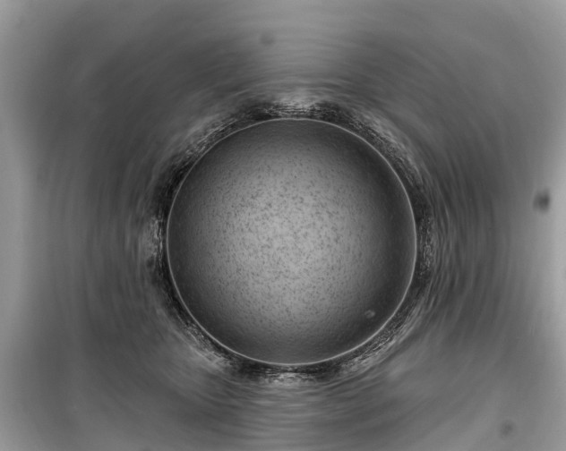 X0000099440467200805161138