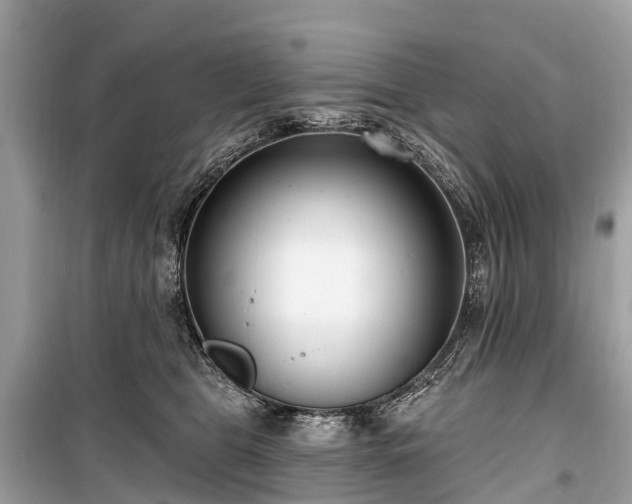 X0000099440469200805161138