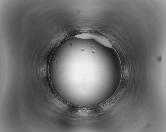 X0000099440470200805161138