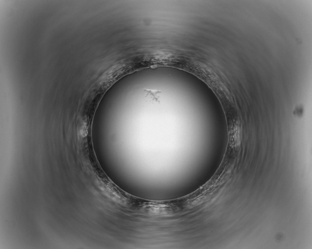 X0000099440472200805161138