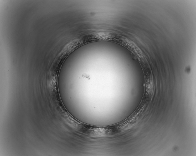X0000099440473200805161138